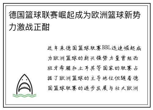 德国篮球联赛崛起成为欧洲篮球新势力激战正酣